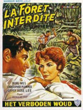 DVD-la-foret-interdite.jpg